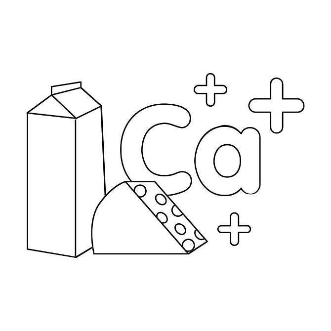 钙_象征_轮廓_风格_隔绝_白色背景_背景_牙齿保健_矢量_插画_高清图片