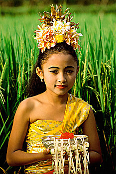 印度尼西亚,巴厘岛,孩子,舞者,服饰,供品,稻米