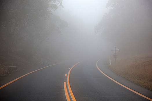 模糊,道路,新南威尔士,澳大利亚