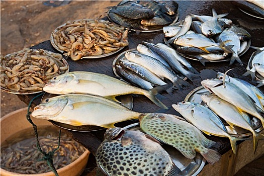 汉堡鱼市,喀拉拉,印度