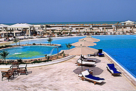 北非,突尼斯,酒店,棕榈海滩