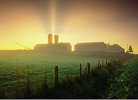 日出,上方,农田,靠近,魁北克,加拿大
