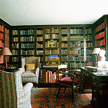 家,图书馆,书架,排列,书本,两个,软垫,扶手椅