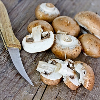 洋蘑菇