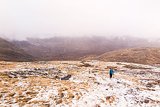 远足,攀登,岩石,雪,山