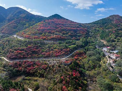 航拍济南彩石劈山红叶