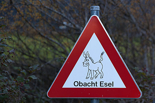 警告标识,铭刻,警告,驴,奥地利,欧洲