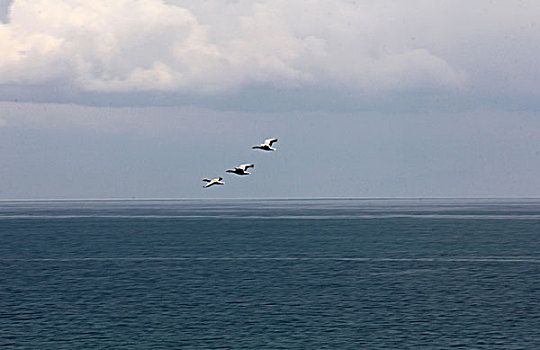 青海湖风光