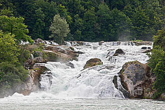 朴素,瀑布,欧洲,莱茵瀑布,莱茵河,沙夫豪森,北方,瑞士