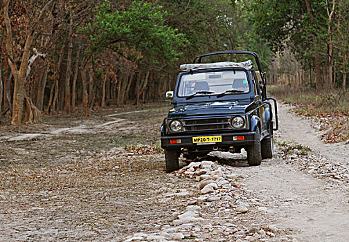 吉普车,土路,国家公园,北阿坎德邦,印度