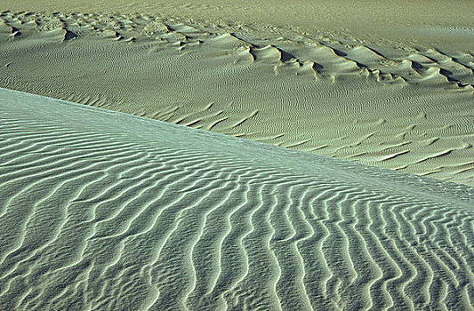 沙丘,排列,阿尔及利亚,撒哈拉沙漠