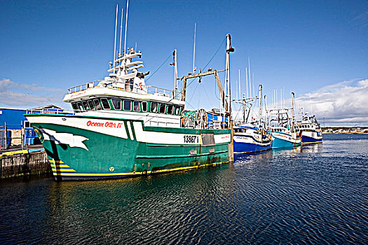 渔船,停靠,卡塔琳娜,码头,纽芬兰,加拿大
