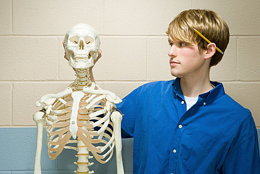 男性,学生,站立,人体骨骼