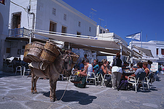 驴,菜篮子,米克诺斯,岛屿