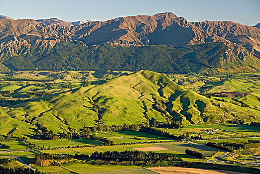 绿色,山,草地,光亮,温暖,晨光,靠近,皇后镇,风景,壮观,南岛,新西兰