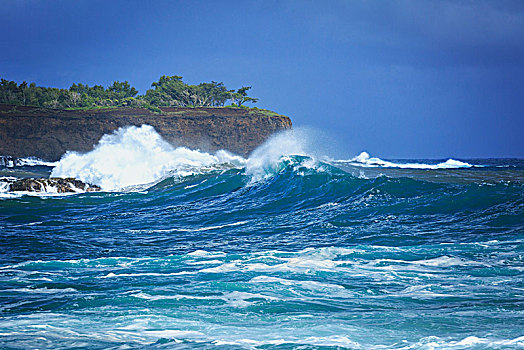 海浪,北柯哈拉,岸边,海滩,公园,夏威夷,美国