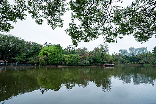 广州2023年春季天河公园湖水绿树相得益彰
