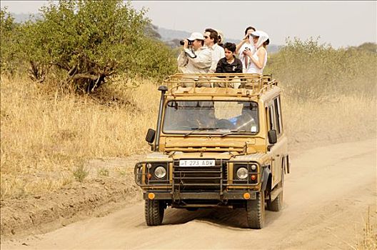 游客,旅行队,四轮驱动,交通工具,公园,坦桑尼亚,非洲