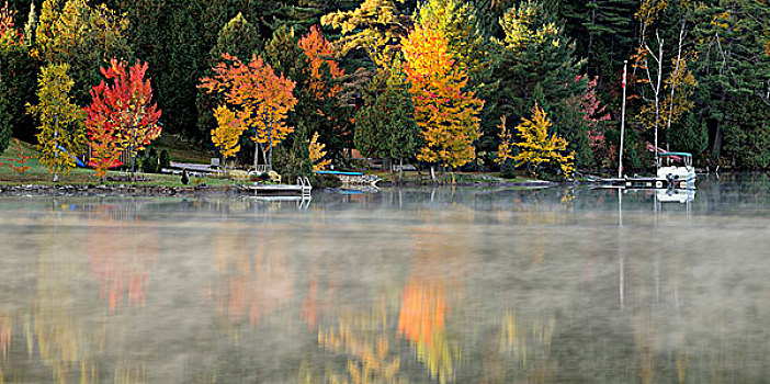 秋天,反射,清晰,湖,亮光,雾,安大略省,加拿大