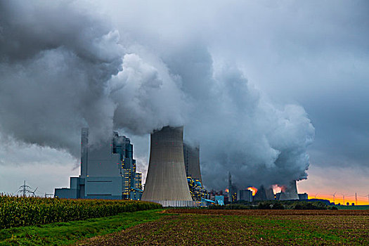 电厂,褐色,煤,能源,北莱茵威斯特伐利亚,德国,欧洲