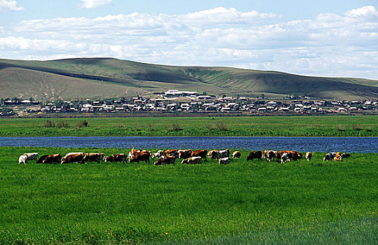 内蒙额尔古纳草原,额尔古纳河,对面就是俄罗斯村庄