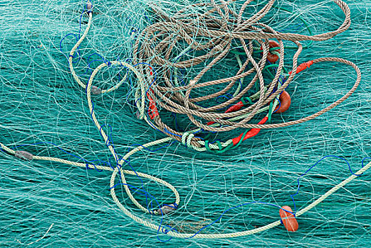 特写,青绿色,捕鱼,网,绳索,有须的,哥斯达黎加,安达卢西亚,西班牙