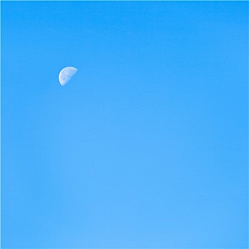 月亮,清晰,蓝色,秋天,晨空