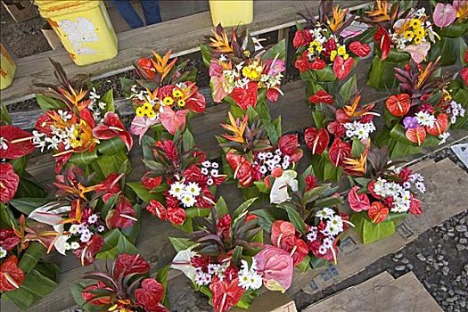 夏威夷,夏威夷大岛,热带花卉,安放,市区,农贸市场