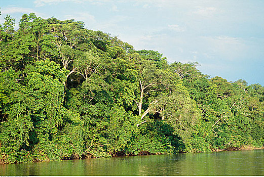 亚马逊雨林,厄瓜多尔