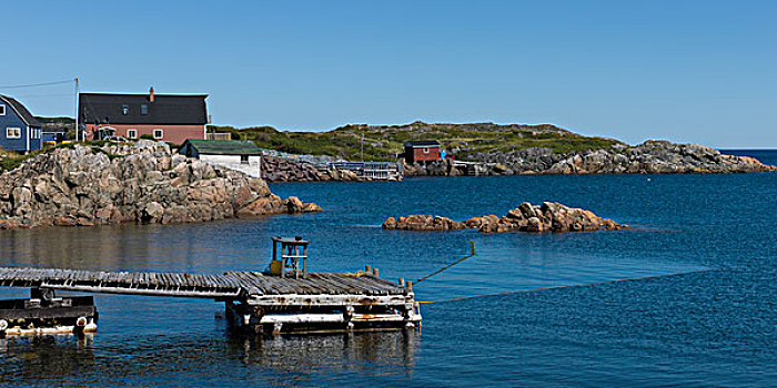 码头,海岸,特威林盖特,南,特威林盖特岛,纽芬兰,拉布拉多犬,加拿大