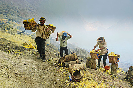 工人,硫,矿,火山,爪哇,印度尼西亚