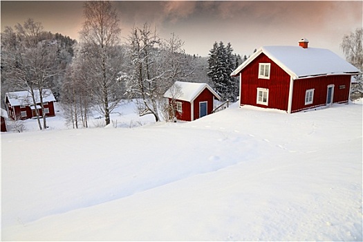 老,乡村,屋舍,雪,冬季风景