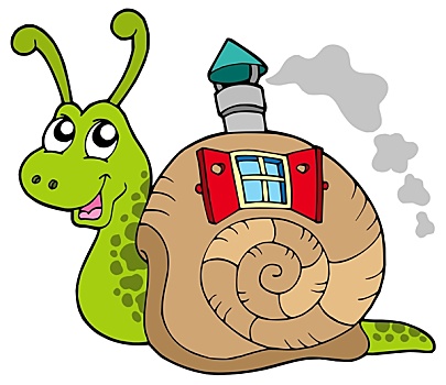 蜗牛,壳,房子