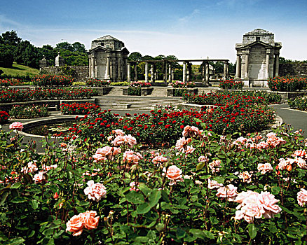 爱尔兰,国家,战争纪念碑,花园