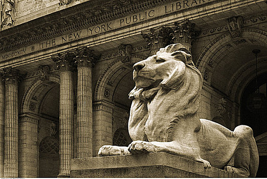 狮子,雕塑,纽约公共图书馆,纽约,美国