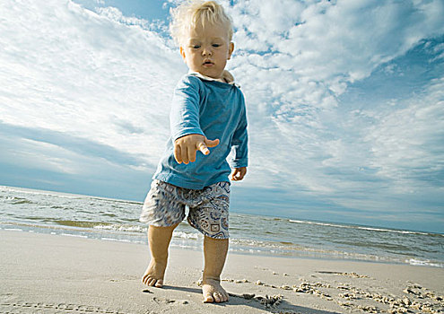 幼儿,海滩,指向
