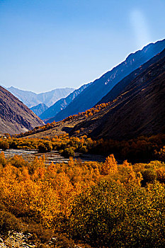 秋季山景