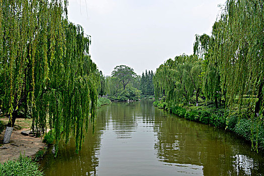 山东济南大明湖