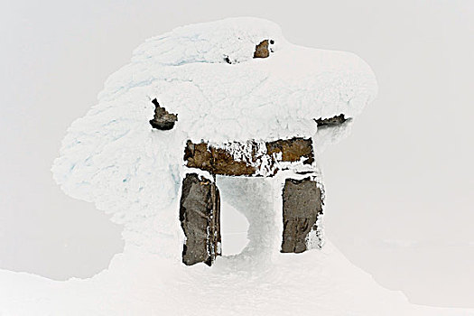 雪,遮盖,树桩,不列颠哥伦比亚省,加拿大