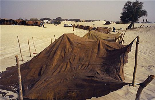 节日,沙漠,2005年,柏柏尔人,露营,下方,骆驼,躲藏,帐篷