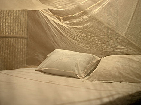 空,床,蚊子,网,手掌,排列,小屋,两个,枕头,白色,床单,果阿,印度