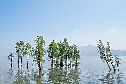 云南大理洱海风光