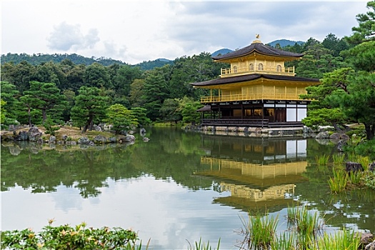 金色,京都,日本