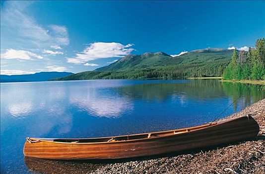木船,独木舟,堤岸,大,三文鱼,河,加拿大,北方,北美