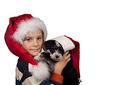 男孩,狗,圣诞帽,圣诞节