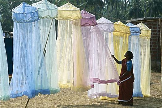 展示,蚊帐,果阿,印度