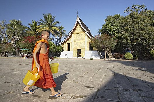 僧侣,桶,寺院,皮质带,琅勃拉邦,老挝
