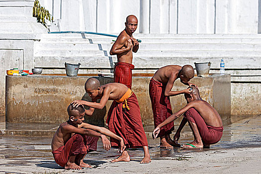 新信徒,僧侣,早晨,沐浴,剃,头部,寺院,靠近,掸邦,茵莱湖,缅甸,亚洲