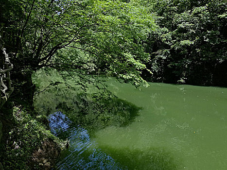 湖北省襄阳市保康县尧治河神农峡景区