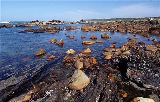 岩石海岸,南非